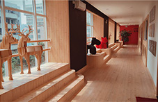 about-LN_01_19.jpg