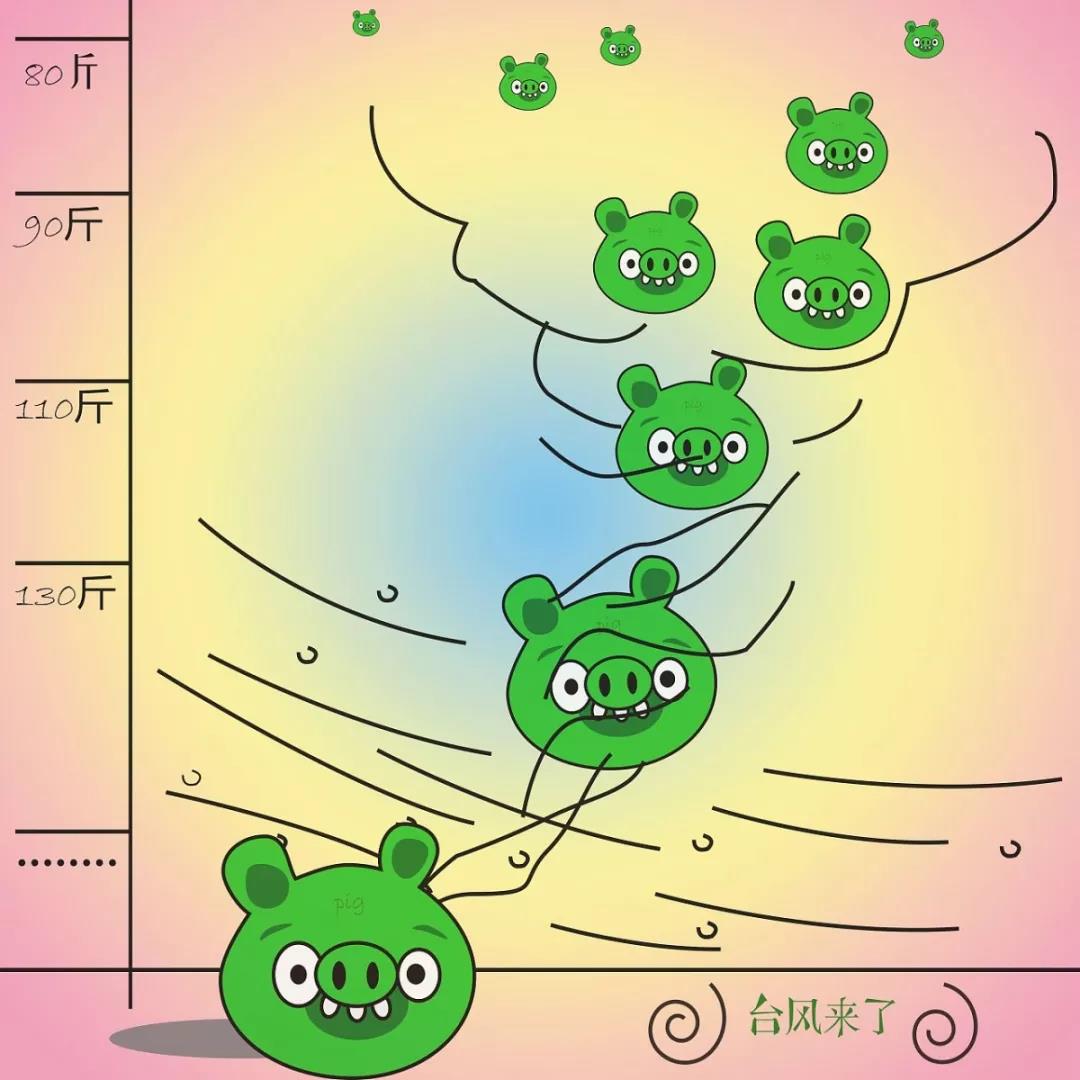 WeChat 圖片_20180918111924.jpg WeChat 圖片_20180918111924.jpg