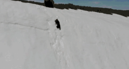 640 (2).gif 640 (2).gif