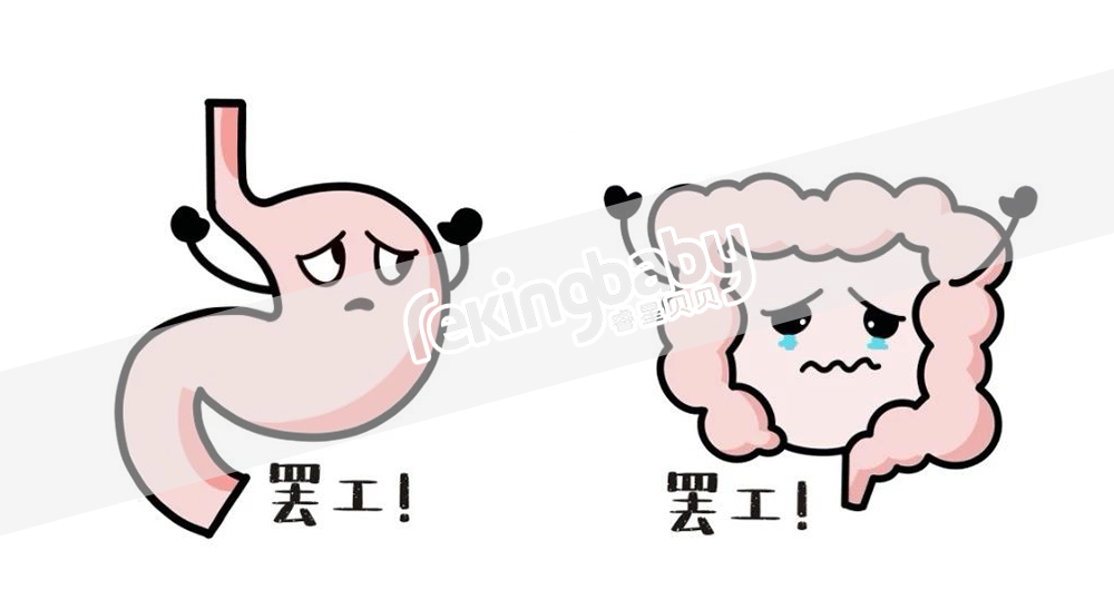 消化.png 007.png