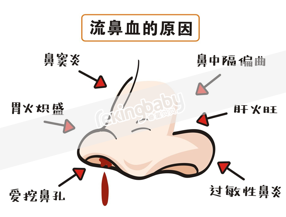 呵护脾胃.png 011.png