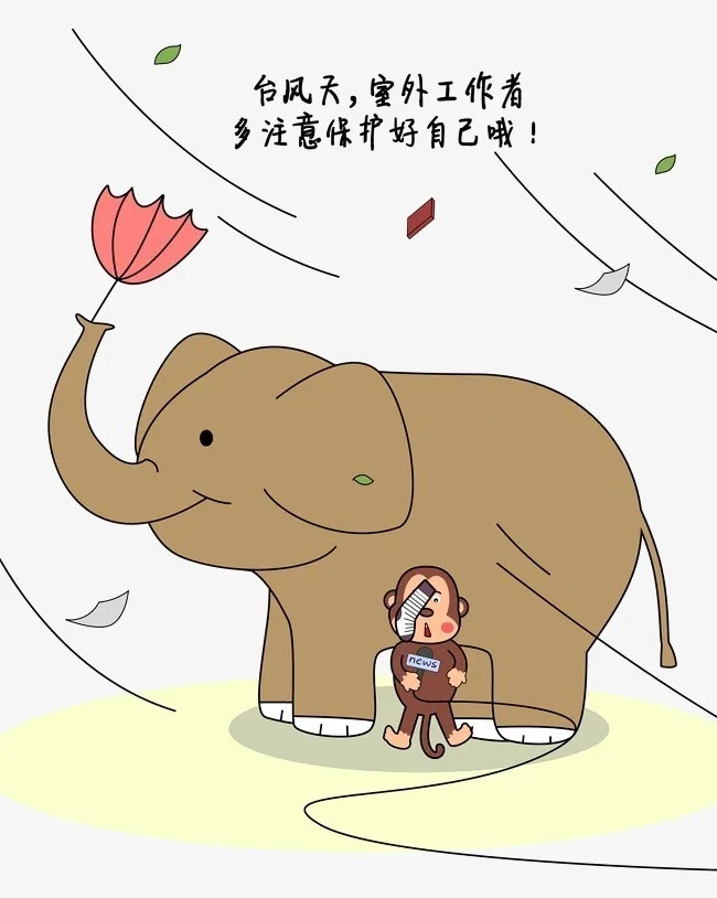 台风“鹦鹉”.webp.jpg 4.webp.jpg