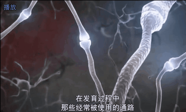 9-19-3.gif 9-19-3.gif