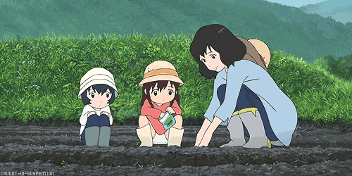 1.gif 1.gif